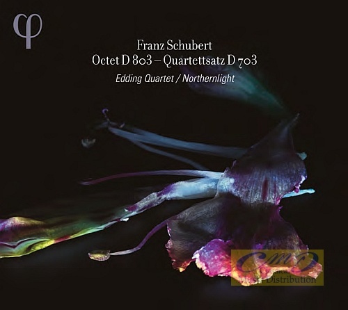 Schubert: Octet D. 803 Quartettsatz D. 703